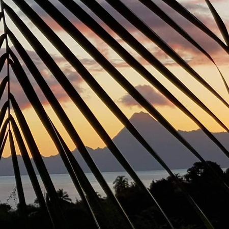 Le Tiki Rouge Villa Punaauia  Exteriör bild